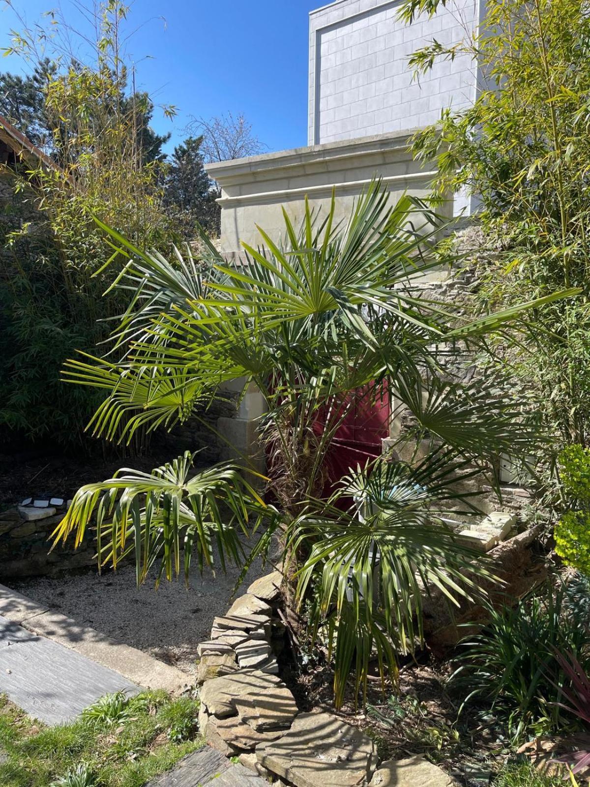 Logement Entier - Le Pigeonnier De La Plume Nantes Exterior photo